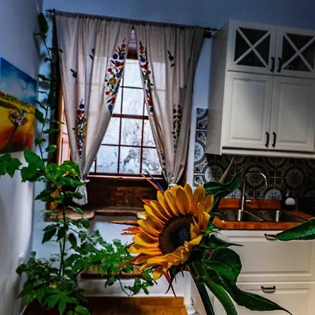 Casa Sol Santa Cruz de la Palma (Isla de la Palma)